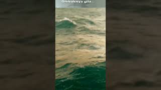 Download lagu perjalanan penuh tantangan🚢🚢 ||Di gulung ombak #short #ombakbesaruae #pelaut mp3 Download lagu perjalanan penuh tantangan🚢🚢 ||Di gulung ombak #short #ombakbesaruae #pelaut mp3
