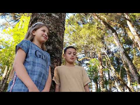 Eu sou um cordeirinho - Hino 441 CCB - @LUANEJULYA