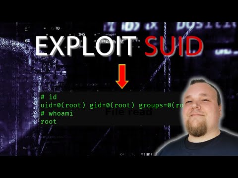 Linux Privilege Escalation: Exploit SUID files and become root