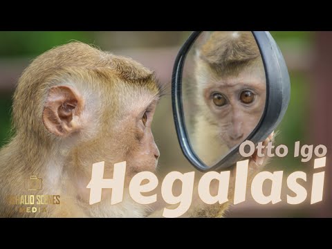 Otto Igo - Hegalasi