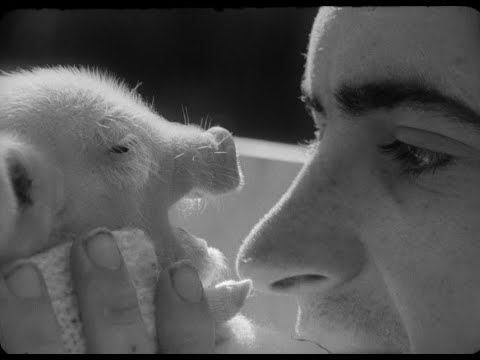Thumbnail of the video: TRAILER Vase de noces (Thierry Zéno, BE 1974)