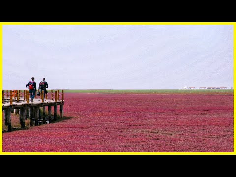 Even the Sea is Red in China... Video