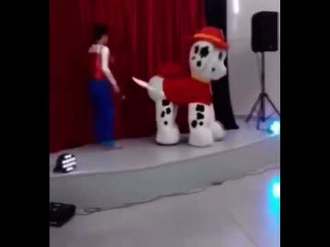 Botarga de Marshall #pawpatrol #memes