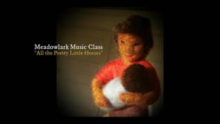 All the Pretty Little Horses