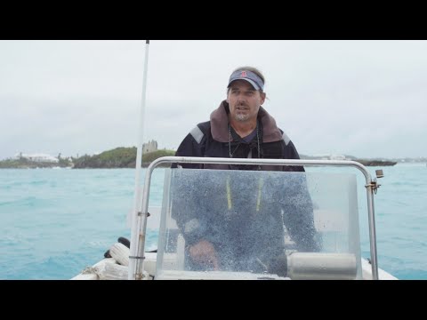Shipwrecks & Parrotfish with Native Bermudian