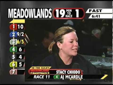 In the Sulky - Stacy Chiodo