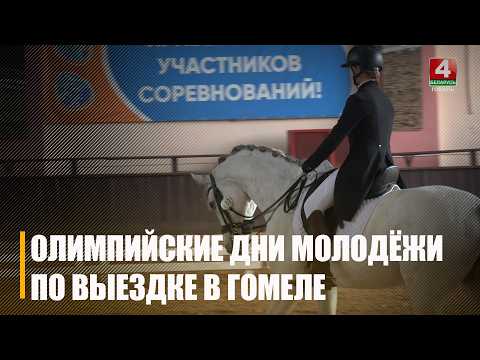 Олимпийские дни молодежи Беларуси по выездке проходят в Гомеле видео