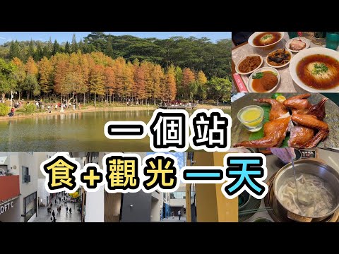 【深圳】一個地鐵站食玩全日：深業上城➕蓮花山公園👊 一條龍行商場、食飯、打卡、親大自然💯 深圳新年好去處｜深圳美食｜深圳好去處2024｜深圳一日遊｜八達通北上付款攻略｜內地支付｜北上消費