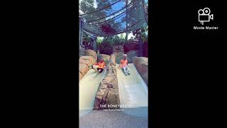 Beau &amp; Bray visit The Animal Kingdom at Disney World for the 1st time!!!