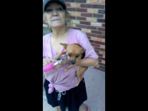 Rapid City SD U.S.A.  rain storm with G D and Cujo