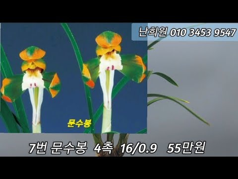 유튜브 썸네일