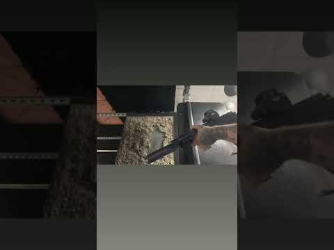 P415 edge SBR/Trash Panda on the clock.