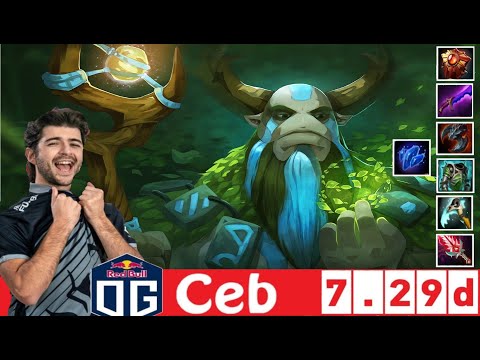 [DOTA 2] OG.Ceb the NATURE'S PROPHET [OFFLANE] [7.29D] [3]