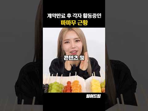 계약만료 후 각자 활동중인 마마무 근황?