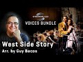 Video 2: Somewhere / West Side Story - SYNCHRON-ized Voices Bundle