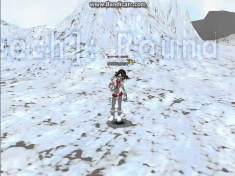 Flyff Insanity Dance