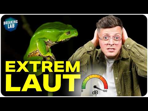 Video Thumbnail: Das lauteste Tier des Dschungels - Expedition Peru