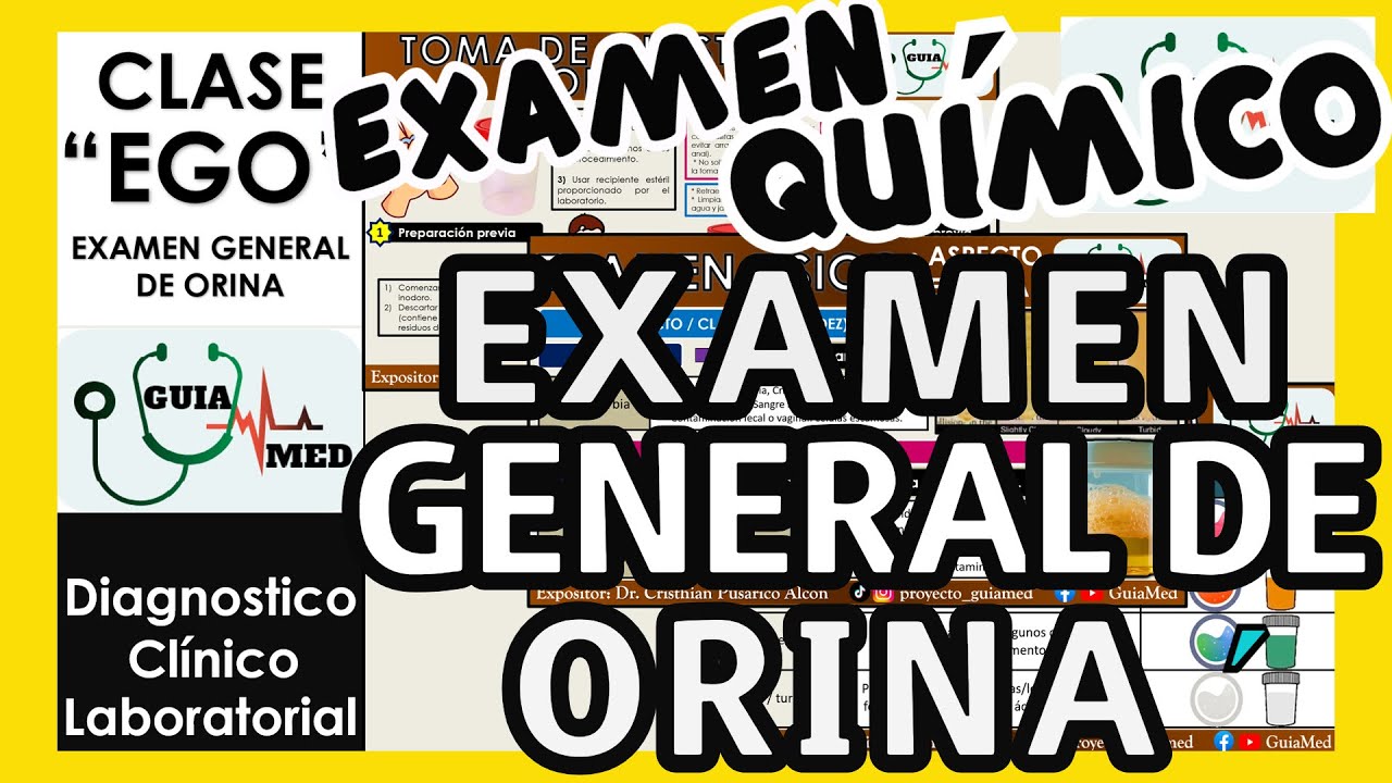 EXAMEN GENERAL DE ORINA (EXAMEN QUÍMICO) | GuiaMed