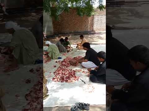 Eid UL Azha   Qurbani 2022 Malik Hashim Ali Khakhi Marhom k deray pr   03062439675(3)