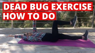 Dead Bug Exercise For Beginners, Seniors, Women, Men - Form, Technique, Instructions