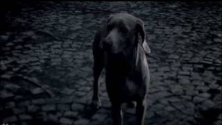 [V Vietsub] Ayumi Hamasaki - Rainy Day