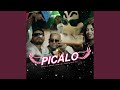 Picalo