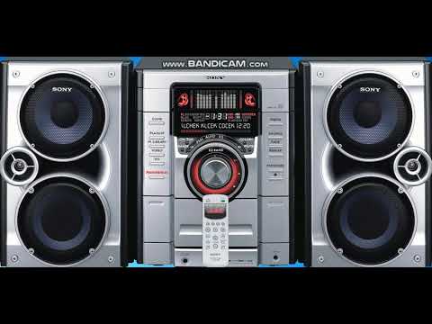 sali okka ork experiya 2019 kuchek