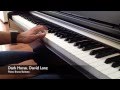 Dark Horse. David Lanz - Piano Bruno Buitano