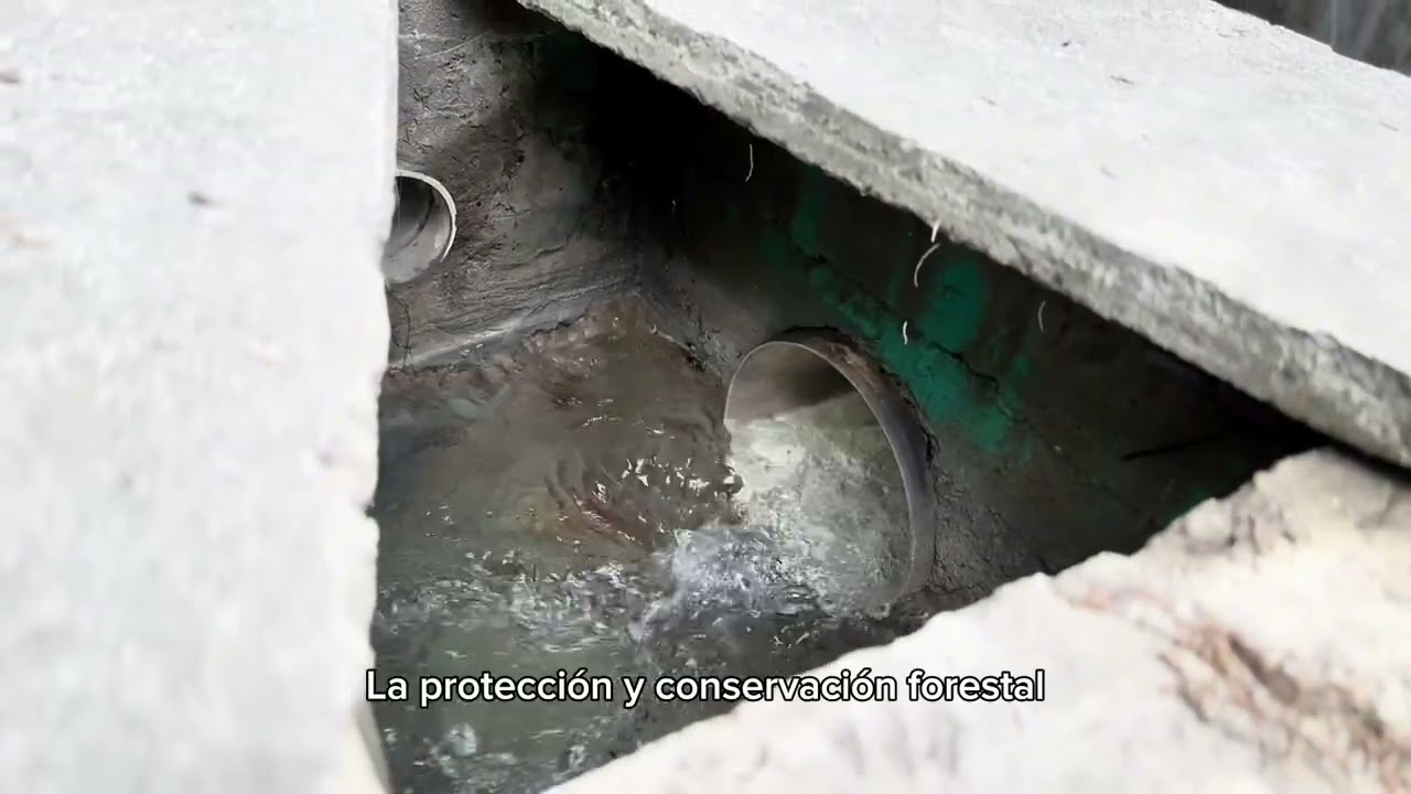 Plan de Protección y Conservación de la Cuenca del Río Selegua, Proyecto PCC - Selegua