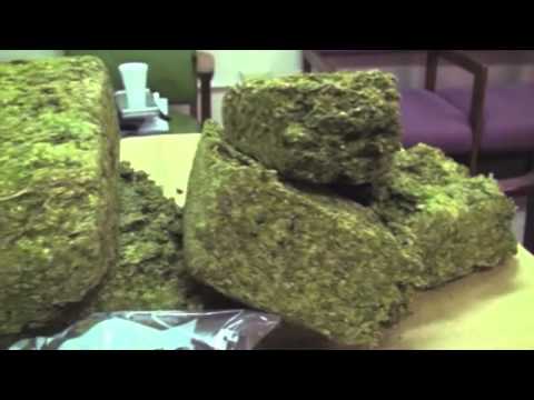 M.A. Moss - Smoke Weed EveryDay