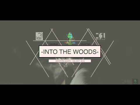 Into the woods After movie