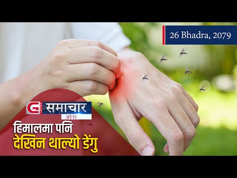 Galaxy Province News | 26 Bhadra, 2079