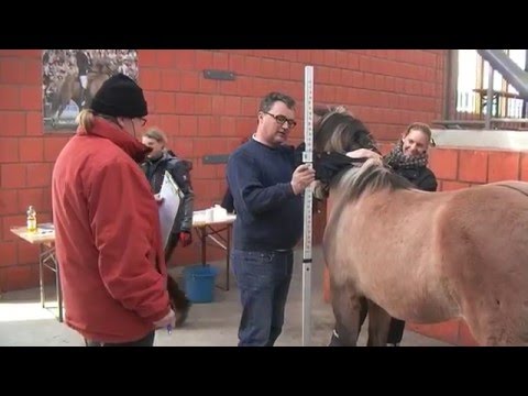 FIZO Kronshof Messen - Dienstag, 26. April