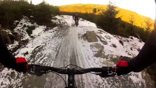Winter Transmission Run - Hamsterley XC