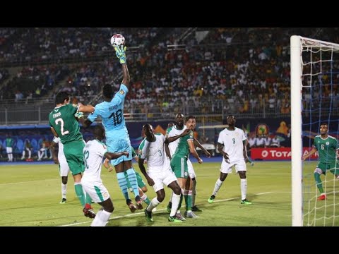 بث مباشر مباراة الجزائر والسنغال في نهائي أمم أفريقيا