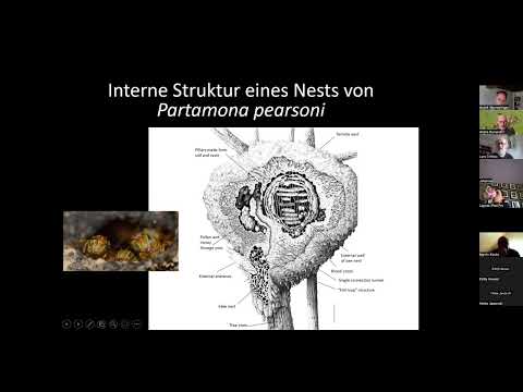 FreeTheBees   Bienen ohne Grenzen Lars Chittka : Wie intelligent sind Bienen?