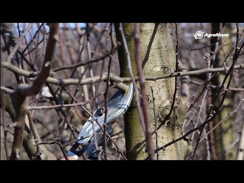 Hogyan fogynak a színészek a szerepekért