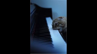 Melancholy Melody - Caleb Stoner