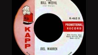 Joel Warren - Evil Boll Weevil