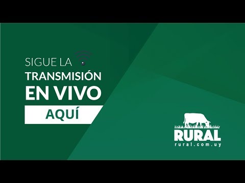 Rincon de Francia y Manguera Azul - Hector Indarte, Hereford Uruguay, Romualdo Rodríguez Ltda.