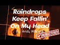 Raindrops Keep Fallin' On My Head by Andy Williams