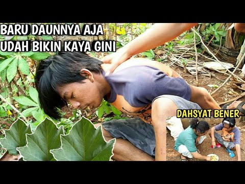 nasi-goreng-cap-daun-kecubung-asli-bikin-gilaa