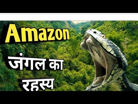 amazon  jagal ka sabse bara history