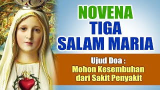 Download lagu NOVENA TO THREE HAIL MARY (Request Healing from Illness) | Catholic Prayer Full of Miracles mp3