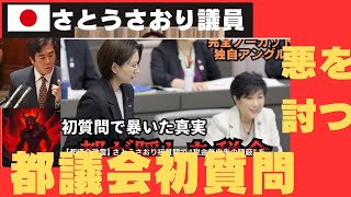 さとうさおり都議会議員　悪を討つ　都議会初質問。名指しをされたものたちの暗躍。
