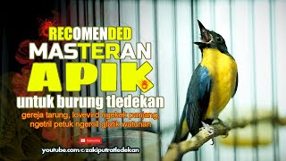 Download lagu Tledekan Gunung Gacor Full Tembakan Ngeroll Panjang mp3 Download lagu Tledekan Gunung Gacor Full Tembakan Ngeroll Panjang mp3