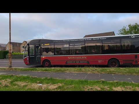 *EXTREMELY RARE ON THE 4* Connections 4 to Heworth - Go North East 8319 - NK11 FXB