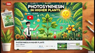 CBSE Class 11 || Biology || Photosynthesis in Higher Plants || Animation || in English
