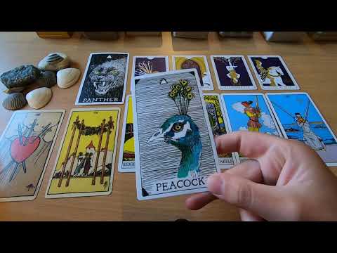 STEENBOK - "De last op je schouders loslaten en je kracht terugvinden" - tarot lezing