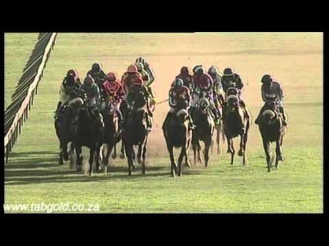 20151018 Scottsville Race 9 won by REIGNING WAVE